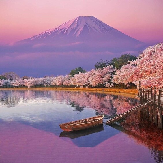 A calm lake with a wooden boat, cherry blossoms, and a mountain in the background. 1