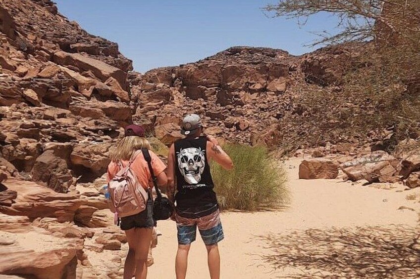 Two people hiking in a rocky canyon with sparse vegetation. 2