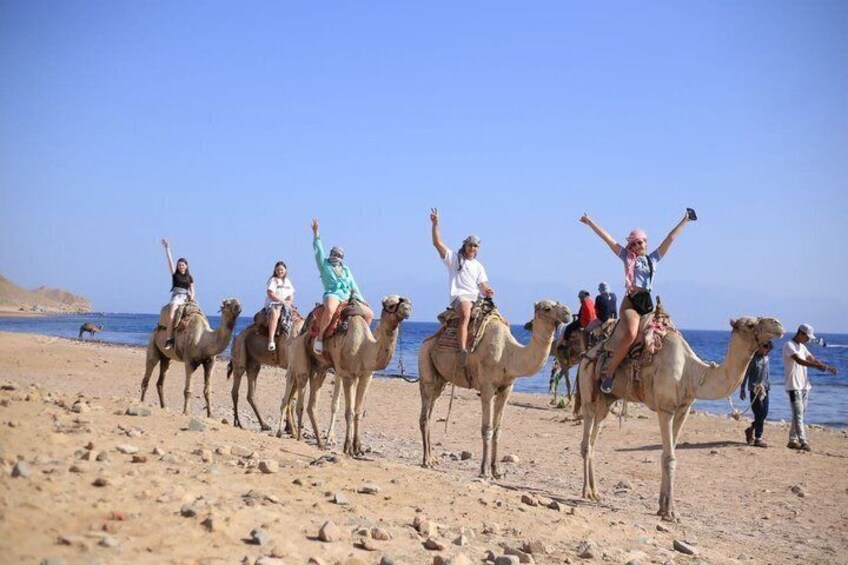 People riding camels on a sandy beach with the sea in the background. 4