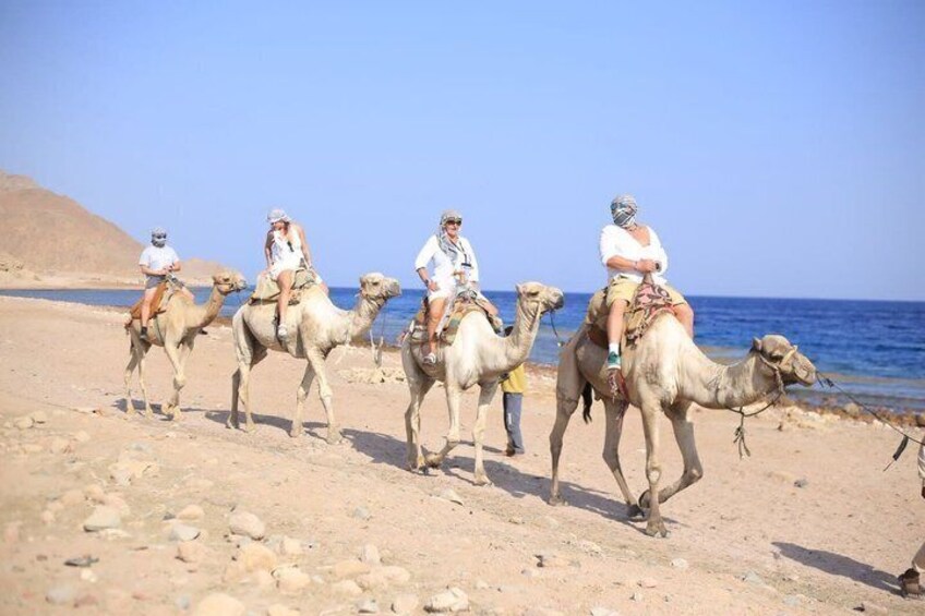 A group of people riding camels on a sandy beach with the sea in the background. 2