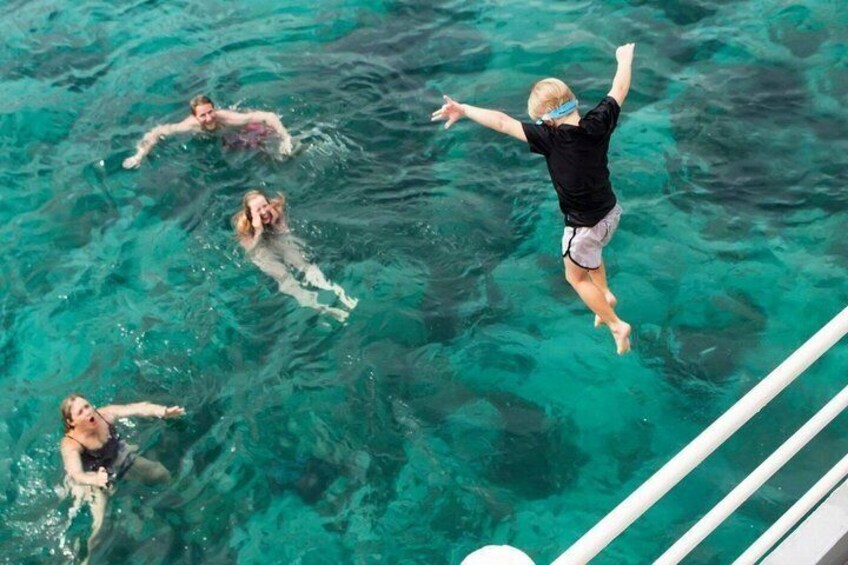 A person jumping into clear blue water from a poolside. 5