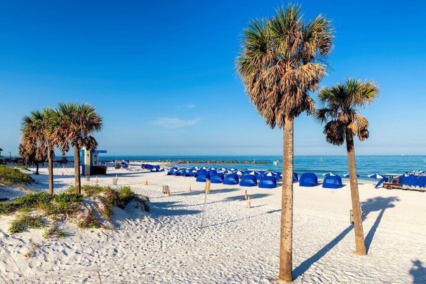 A beach with palm trees, blue beach umbrellas, and a clear blue sky. 2