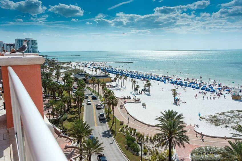 Ein Strand mit Palmen, einer Straße und blauem Himmel. 2