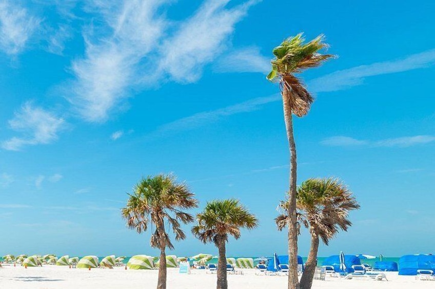 A beach with palm trees and umbrellas. 3