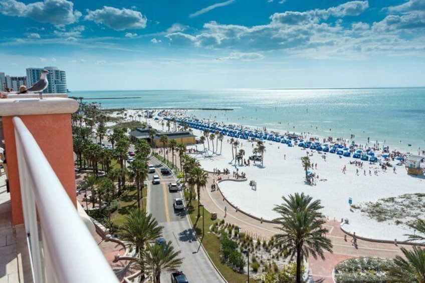 A beach with palm trees, a clear sky, and a view of the ocean. 2
