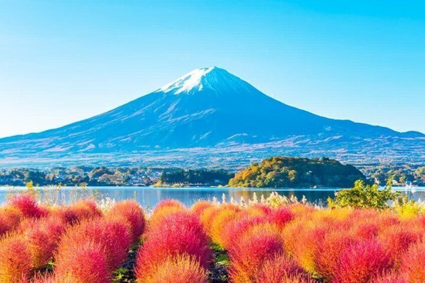 A mountain with a snow-capped peak, a body of water, and colorful vegetation in the foreground. 5
