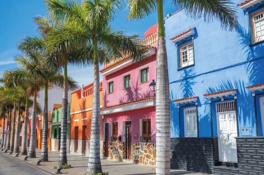 A row of colorful buildings with palm trees lining the street. 4