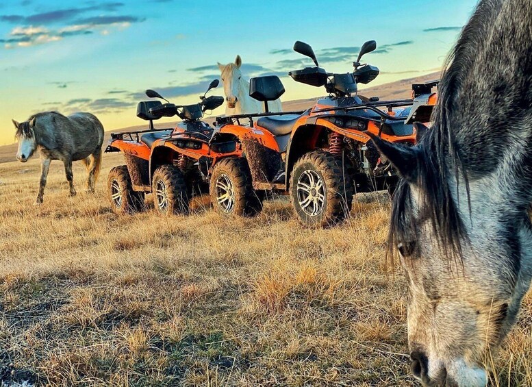 A line of orange ATVs in a grassy field with horses in the background. 4