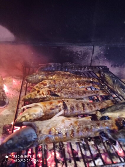Grilled fish on a grill over an open flame. 5