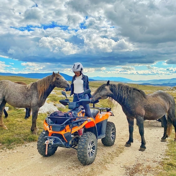 A person on an ATV with two horses in a grassy field under a cloudy sky. 3