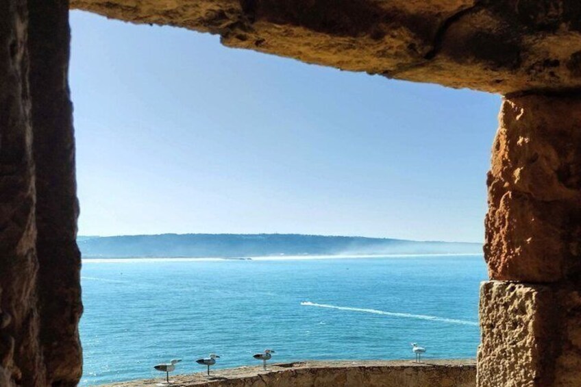 A coastal view through a stone archway with birds on the shore. 4