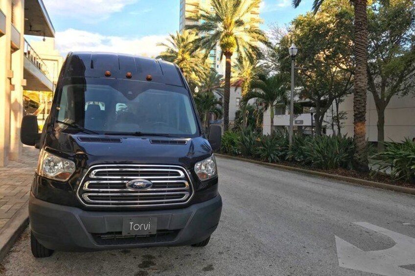 A black Ford van with the license plate 'Torvi' parked on a street with palm trees and buildings in the background. 1