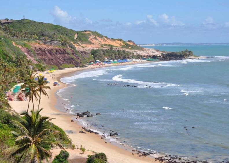 A coastal beach with palm trees, a sandy shore, and a rocky outcrop. 4