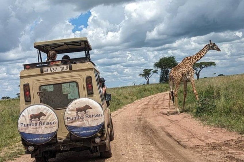 8 Days Cultural Tours and Wildlife Experience 3