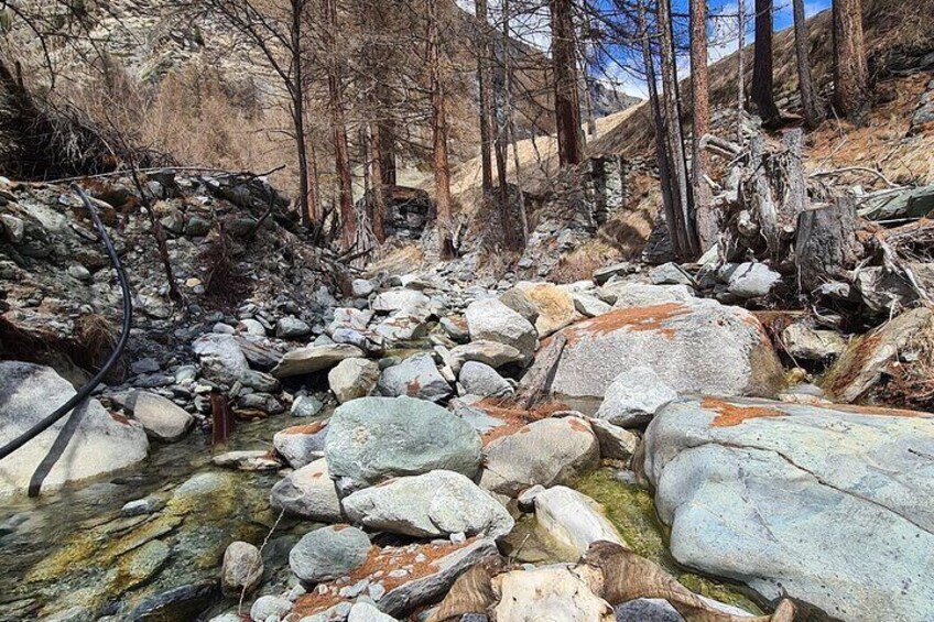 Guided Hiking Half Day in Zermatt 2