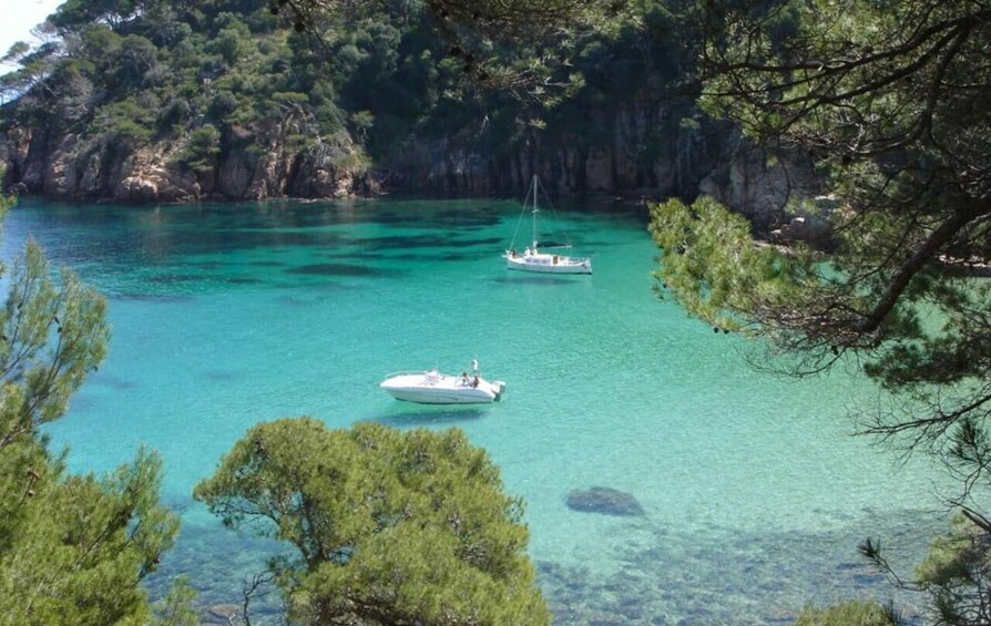 A turquoise bay with clear water, surrounded by rocky cliffs and pine trees. 4