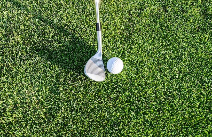 A golf club and a golf ball on a grassy field. 5