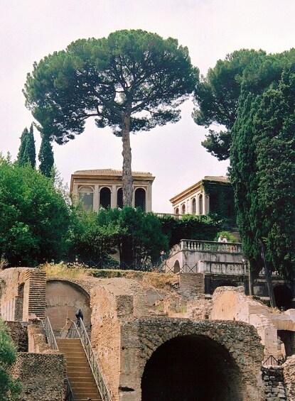 Ancient ruins with a large tree in the foreground, a stone bridge, and classical architecture in the background. 2