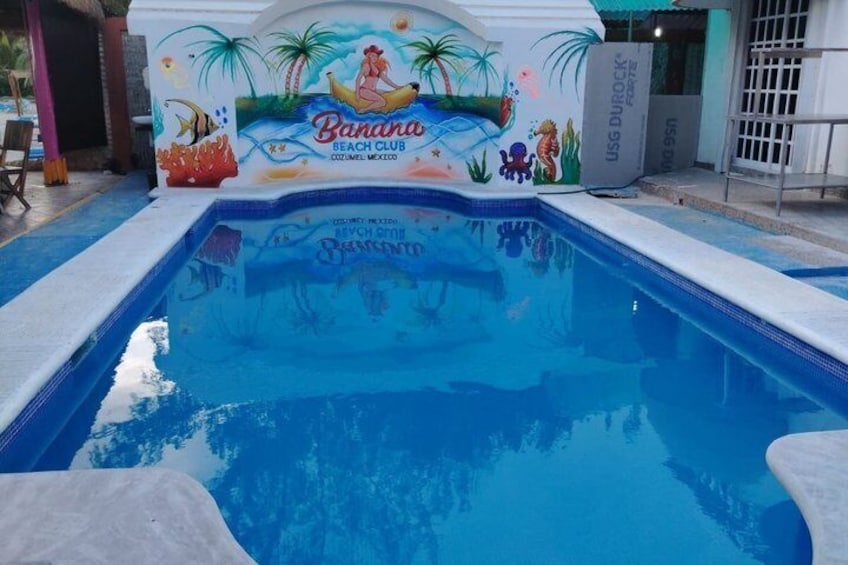 A swimming pool with a mural of a mermaid and tropical scenery. 4