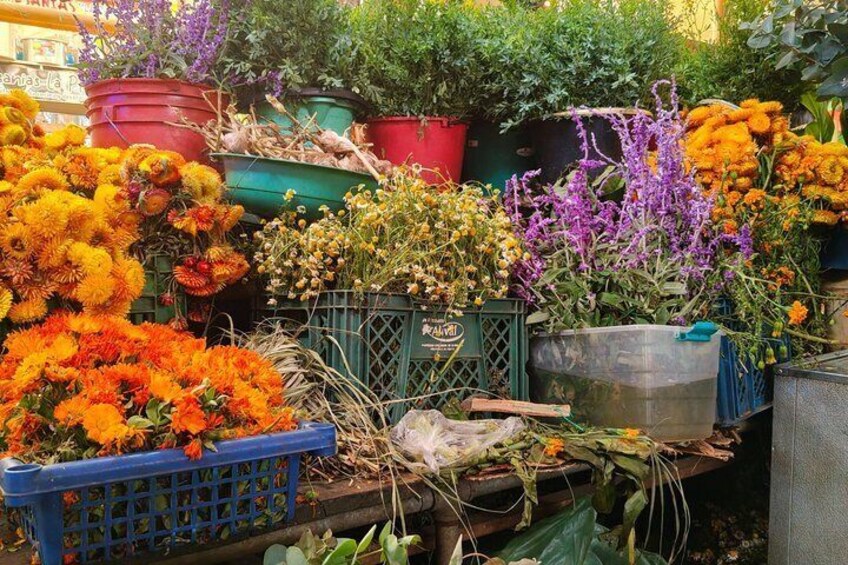 A variety of potted flowers including marigolds, chrysanthemums, and purple flowers, displayed in green and red containers. 2