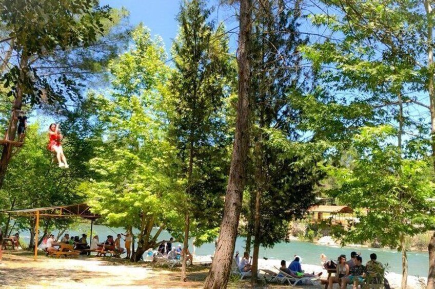 A person swinging on a rope, trees, and a group of people sitting by a body of water. 2