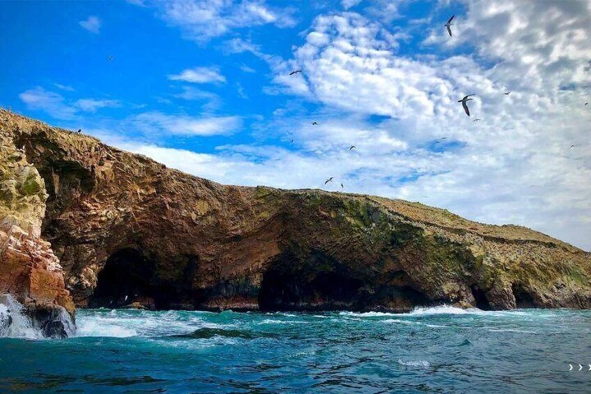 A coastal cliff with a cave entrance, ocean waves, and birds flying. 4
