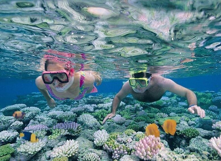 Two people snorkeling underwater among coral reefs with fish. 4