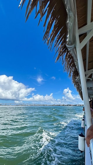 A boat's wake, palm leaves, and a distant bridge over water. 1