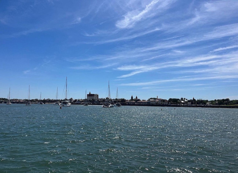 A marina with sailboats and a coastal town with buildings. 5