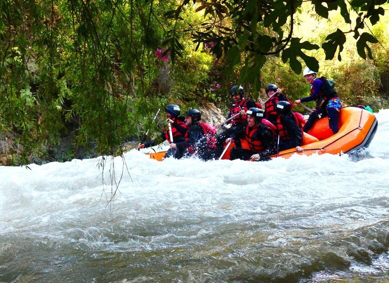 A group of people in an orange raft navigating a river surrounded by dense foliage. 5