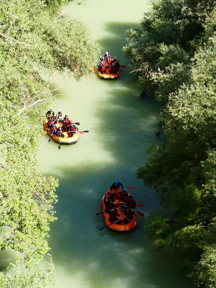 Three orange kayaks on a calm river surrounded by dense greenery. 3