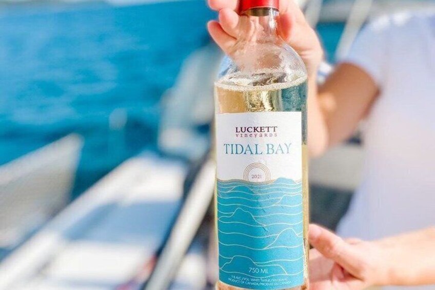 A person holding a bottle of Tidal Bay wine with a label featuring a blue ocean design. 2