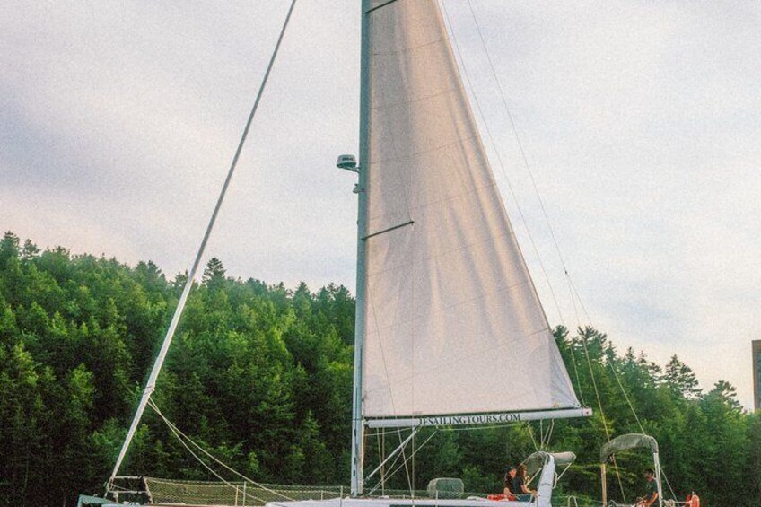 A sailboat with a large sail, surrounded by a forested area. 1
