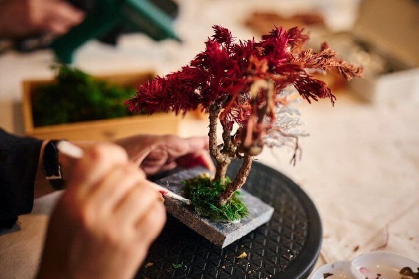 A bonsai tree on a table with a person trimming it. 3