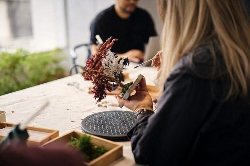 A person holding a plant, a laptop, and a smartphone on a table with a keyboard and a plant pot. 5