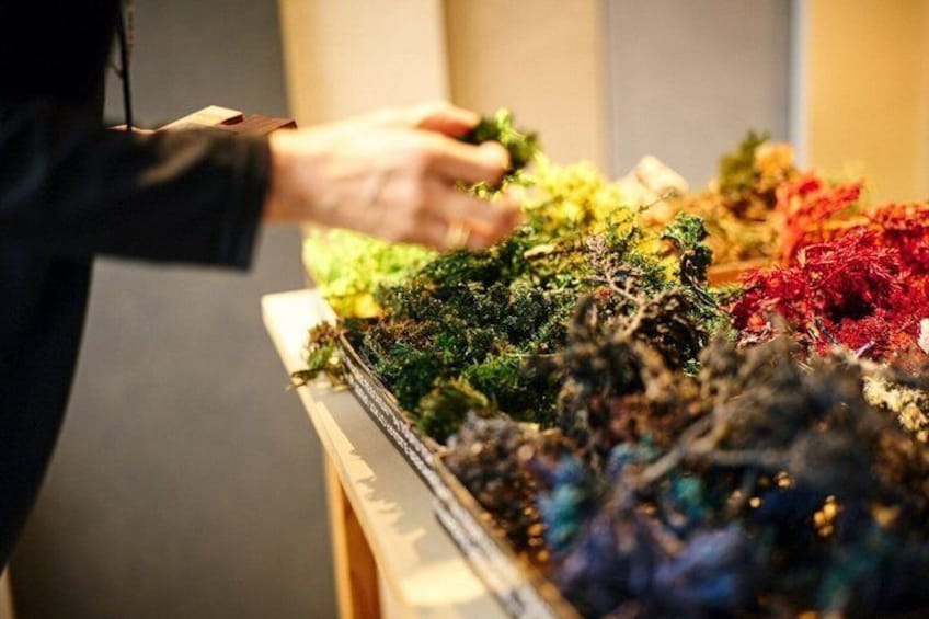A person selecting colorful moss from a display. 4