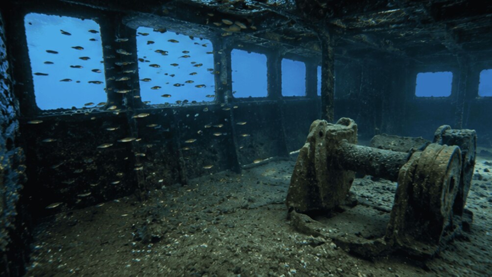 An underwater shipwreck with fish swimming around. 2