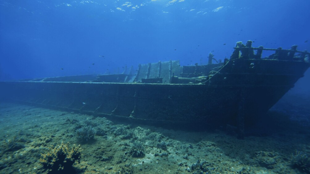 An underwater shipwreck with visible structural remains and marine life. 3