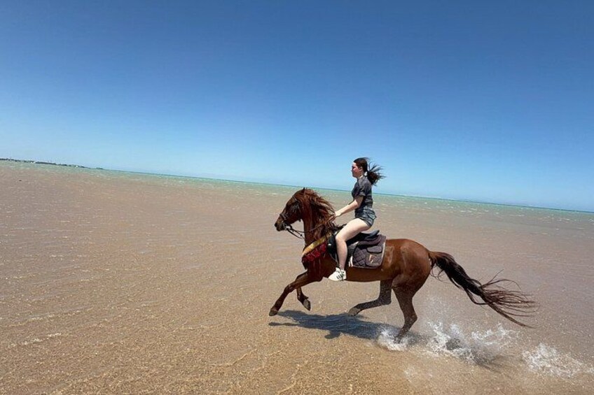 A person riding a horse on a beach. 3