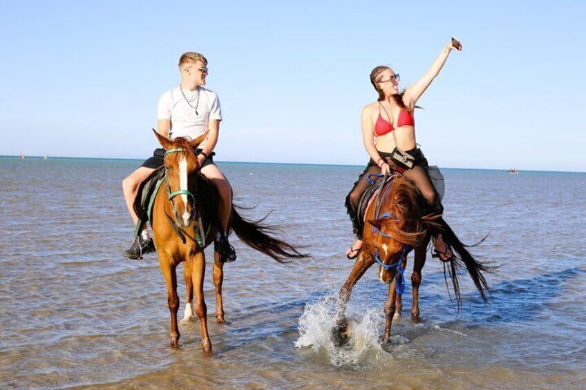 Hurghada: Morning or Sunset Horse Riding & Swimming 3