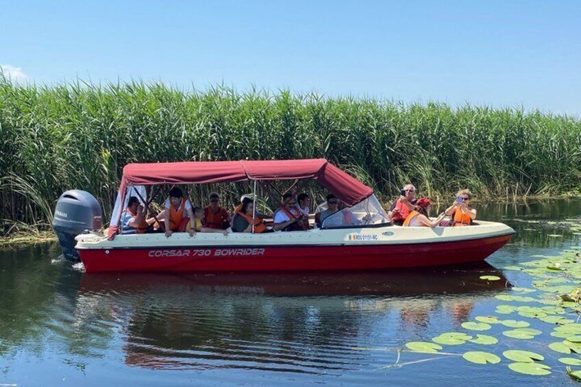 A red boat with passengers wearing life jackets on a calm river surrounded by tall vegetation. 1