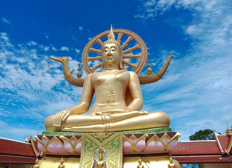 Picture 3 for Activity Koh Samui: City Tour with Lifestyle Shopping Experience 2