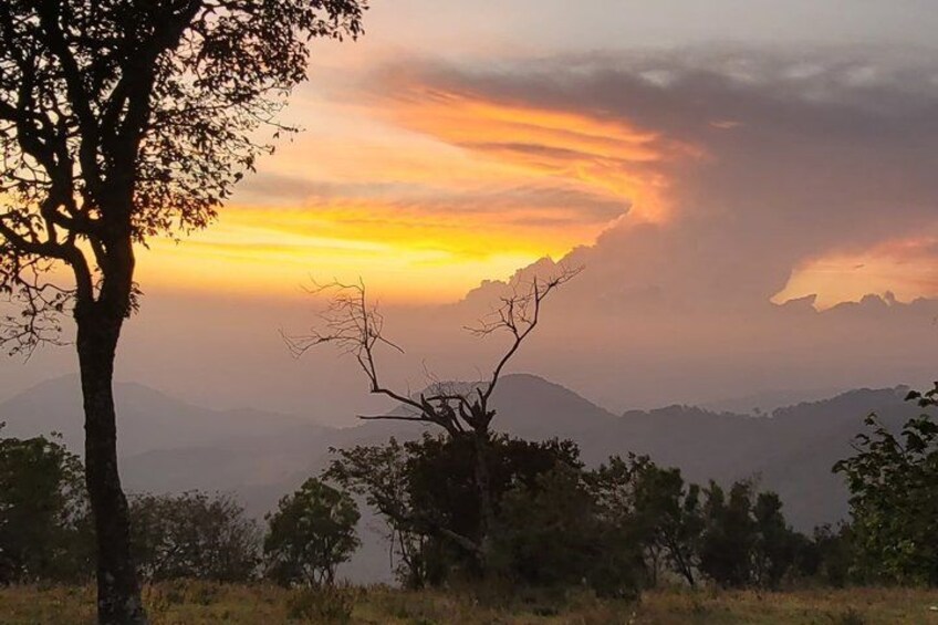 Atardecer sobre un paisaje montañoso con árboles en primer plano. 3