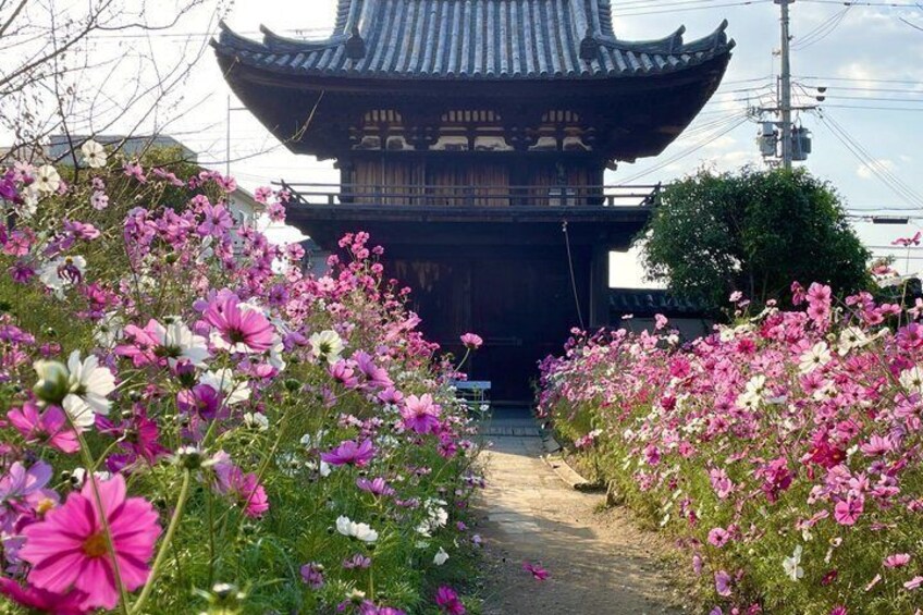 A traditional Japanese gate with pink and white flowers in the foreground. 2