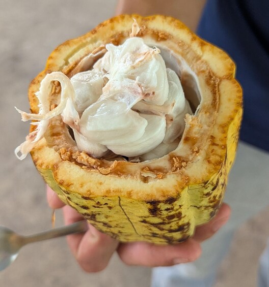 A person holding a coconut with a scoop of ice cream inside. 5