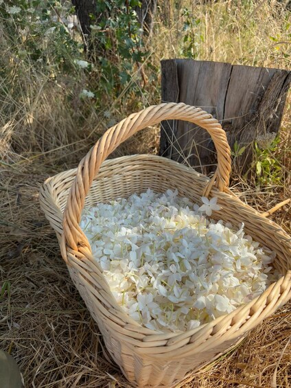 A wicker basket filled with white flowers, placed on dry grass with a wooden post in the background. 4