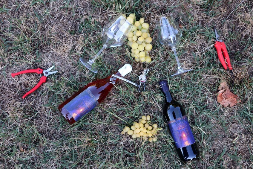 A bottle of wine, two wine glasses, a bunch of grapes, and a pair of red-handled pliers on grass. 2