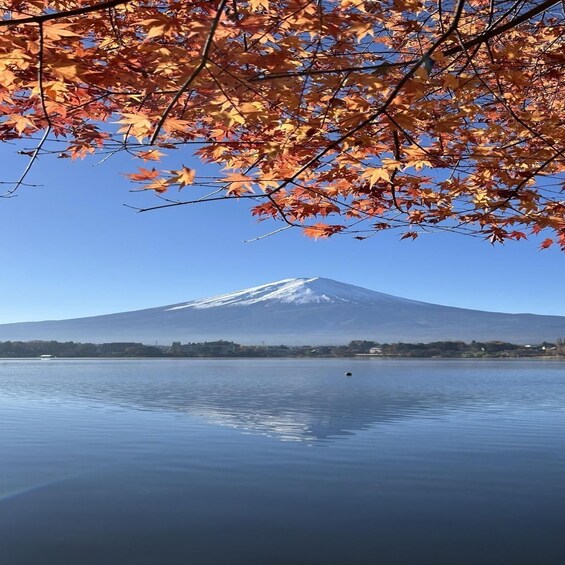 A mountain with a snow-capped peak, a calm lake, and autumn leaves in the foreground. 5