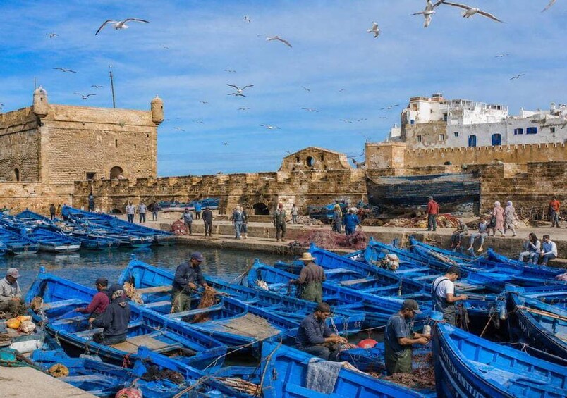 A bustling harbor with numerous blue boats, a historic stone wall, and a clear sky. 1