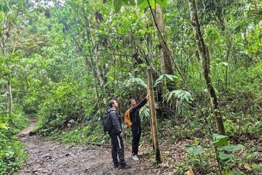 Two people hiking on a muddy trail in a dense forest. 5